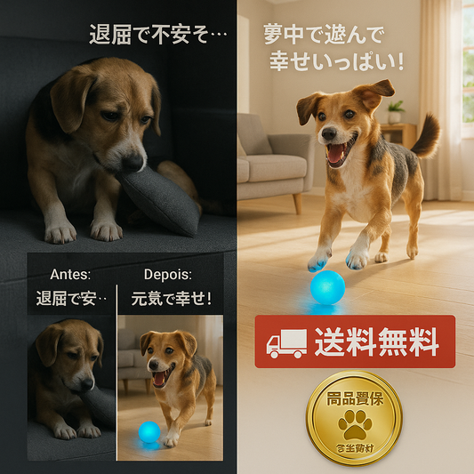 ペット用インタラクティブ自動ボール – 充電式・スマート・耐久性抜群・LEDライト付き